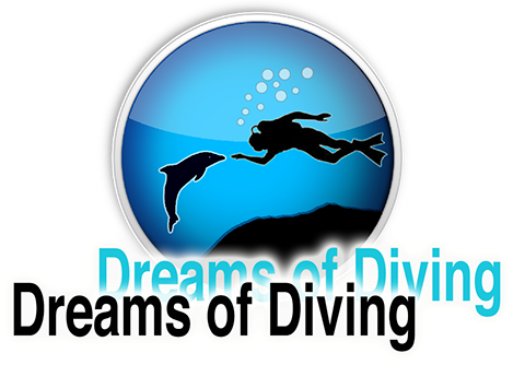 Dreams of Diving